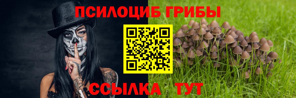 Псилоцибиновые грибы Psilocybine cubensis  Вход с VPN  Галлюциногенные грибы мухоморы  Алатырь 